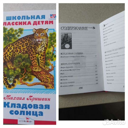 Школьная литература