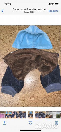 Костюмчик для собачки