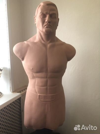 Century bob box XL