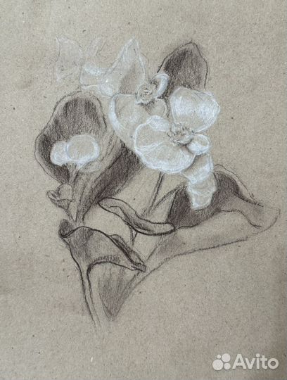 Зарисовки цветов и деревьев А4