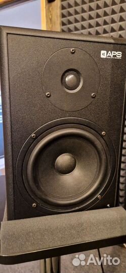 Студийные мониторы aps klassik