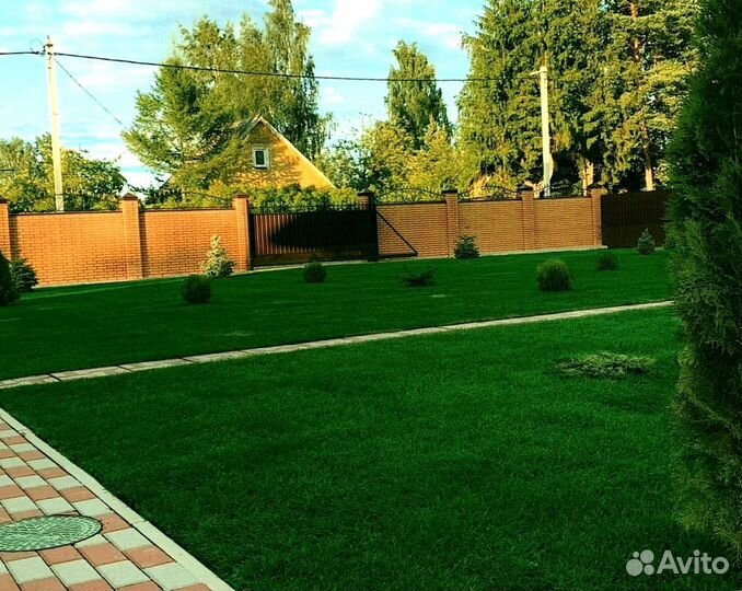 Рулонный газон от производителя