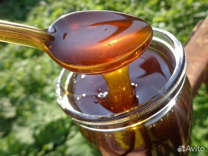 Продам мед гречишный