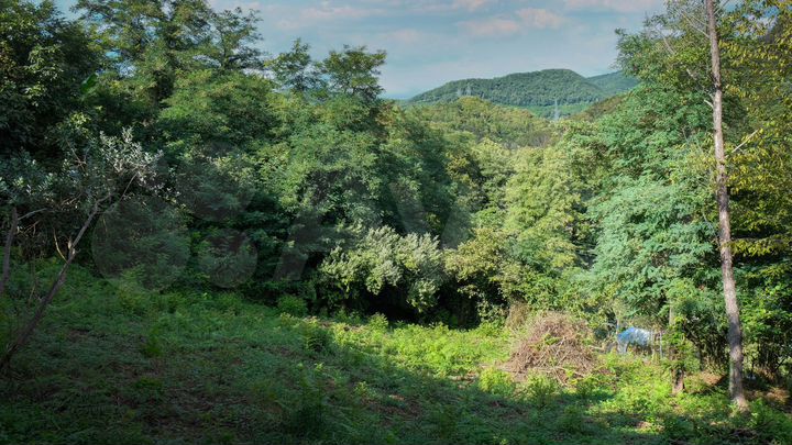 Участок 9,5 сот. (ИЖС)