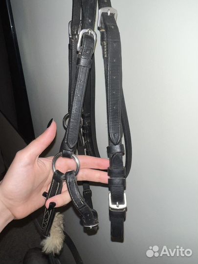 Оголовье с мексиканским капсюлем без повода full