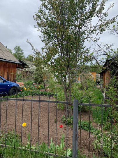 Дача 40 м² на участке 4 сот.