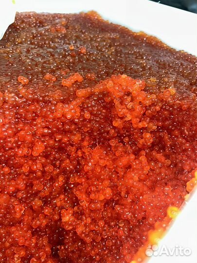 Красная икра кижуч премиум