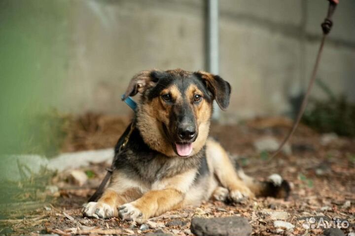 Спасён с чёрного приюта