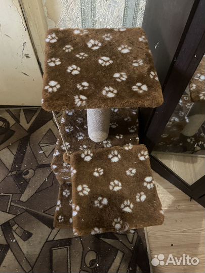 Когтеточка