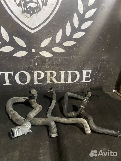 Патрубки охлаждения Ford Focus 2