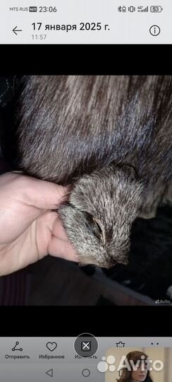 Шуба из чернобурки