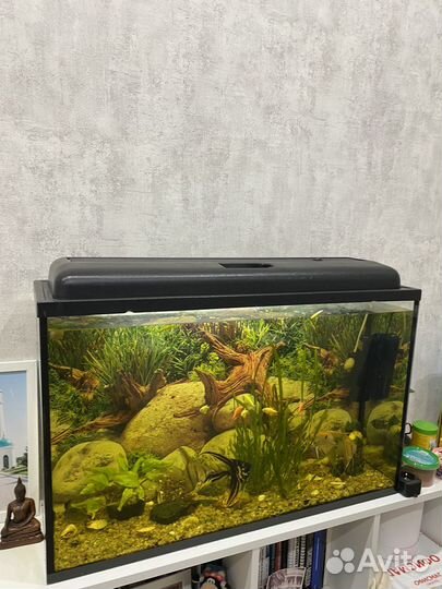 Аквариум 90 литров с рыбками