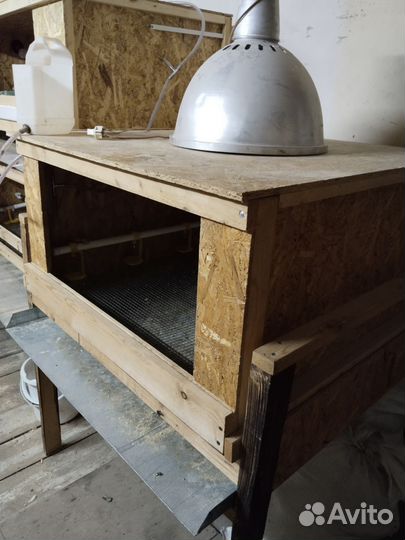 Клетки для бройлеров бу