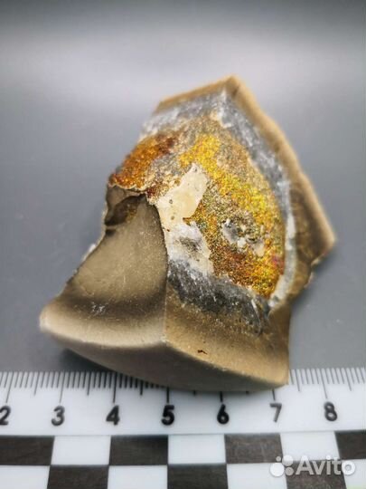 Спектропирит (марказит) в обломке конкреции