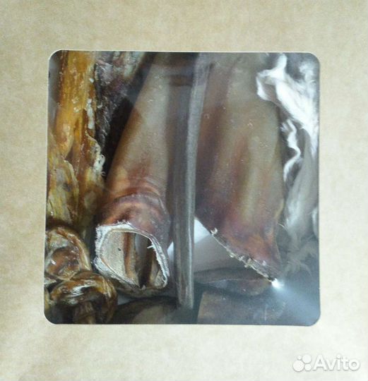 Корма для собак и кошек