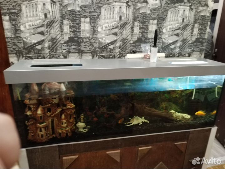Аквариум