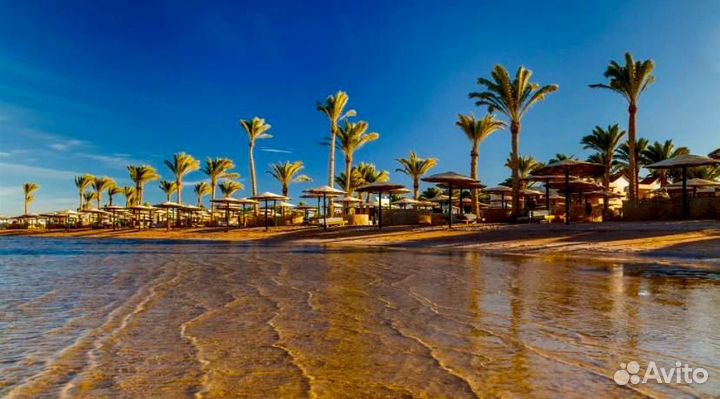 Египет из Казани