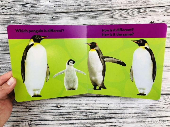 National Geographic Kids,английские книги