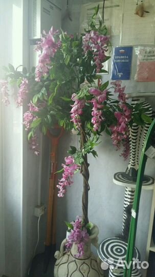 Декоративные деревья