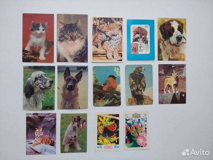 Календарики СССР животные птицы насекомые