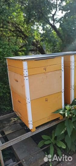 Продам ульи для пчел