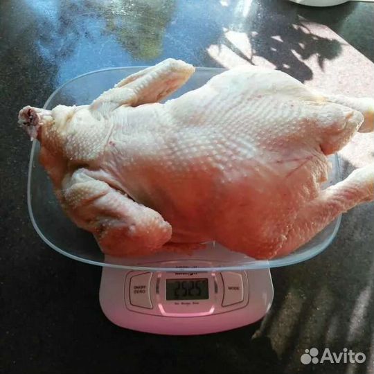 Мясо домашней курицы, бройлер. С доставкой до кв