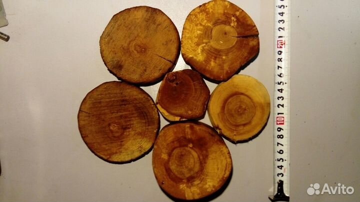 Спилы Ясеня. Слайсы из Ясеня