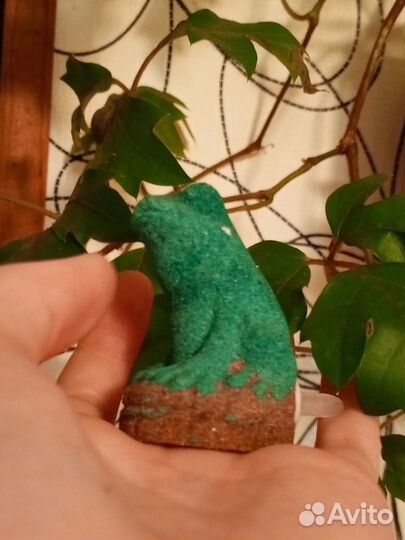 Аквариум 5 литров