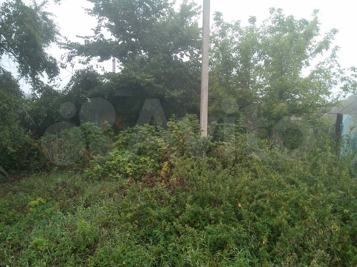 Дом 37 м² на участке 60 сот.