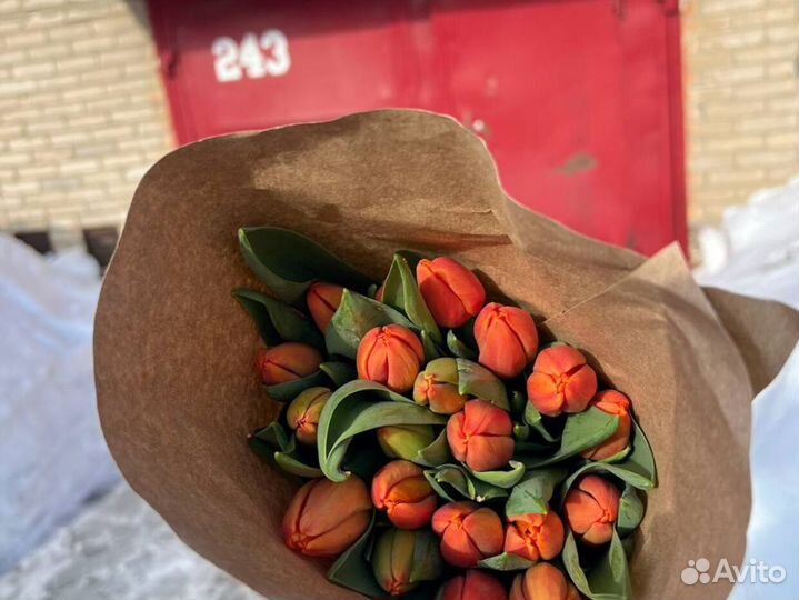 Тюльпаны в розницу