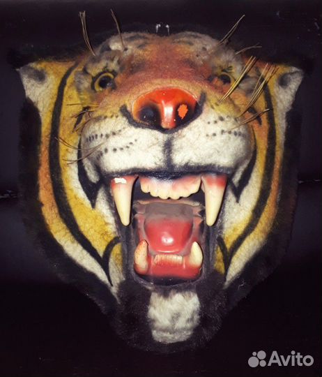 Морда тигра