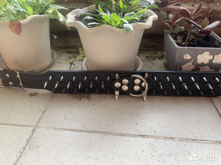 Ошейник для собаки