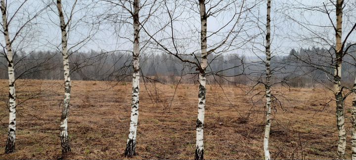 Участок 35 сот. (СНТ, ДНП)