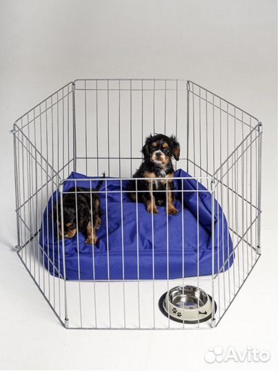 Вольер для собак