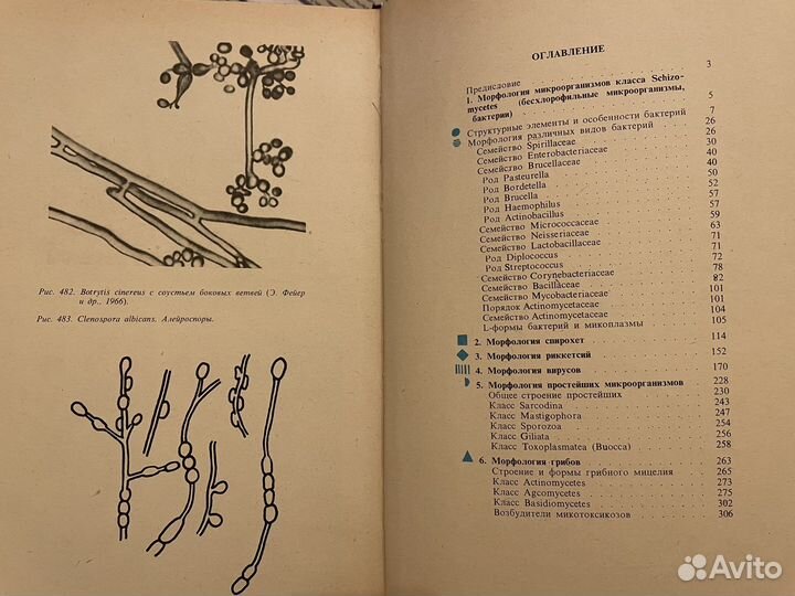 Словари и справочники