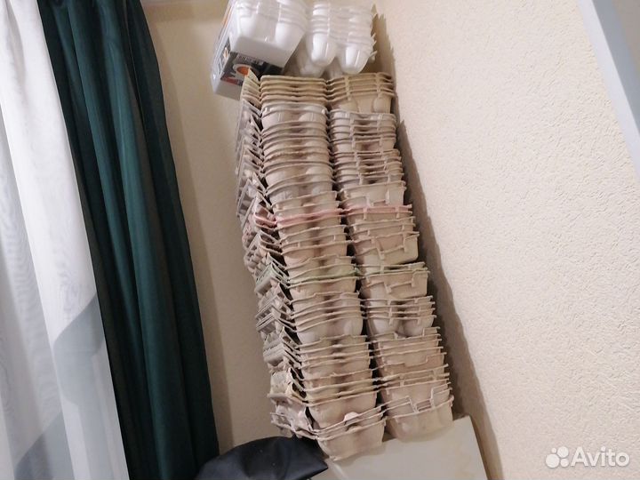 Контейнеры для яиц