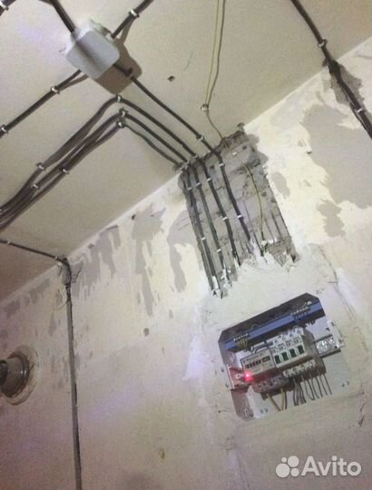 Электрик Красное Село, Ломоносовский район, Пушкин