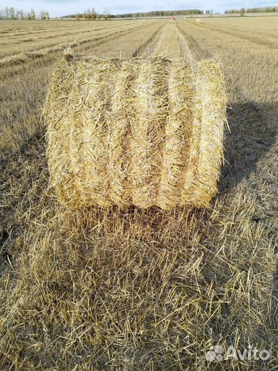 Солома в тюках