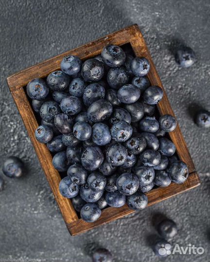 Голубика саежие каждый день почковой
