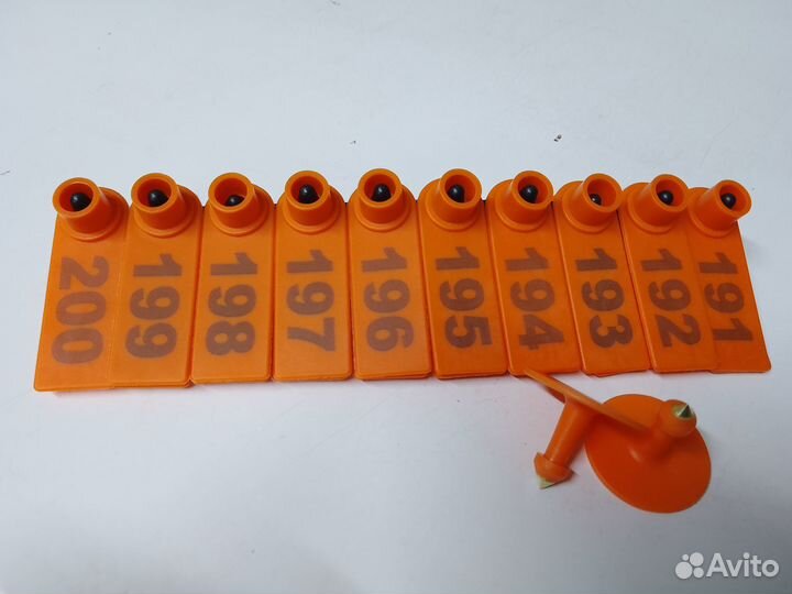 Бирки для животных