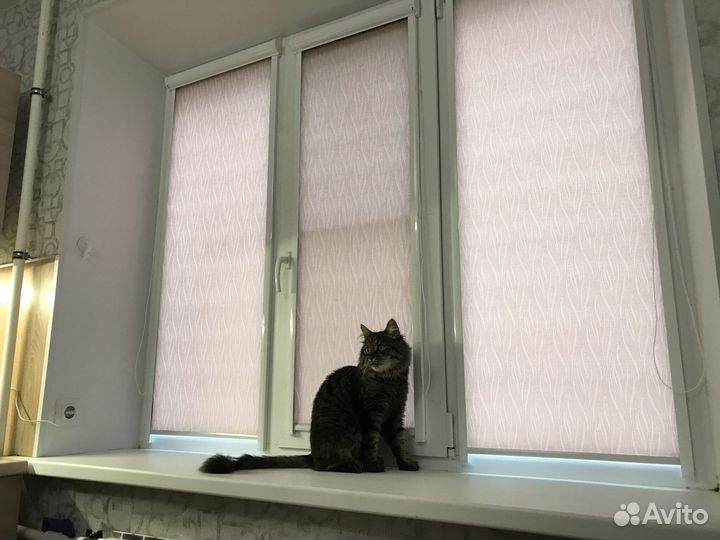 Рулонные шторы