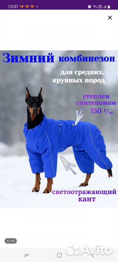 Зимний комбинезондля собаки(кобель)