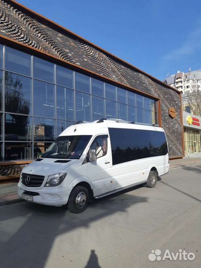 Пассажирские перевозки. Микроавтобусы и автобусы