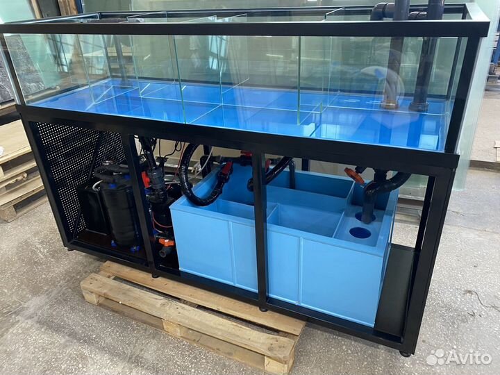 Аквариум для морепродуктов краба устриц гребешка