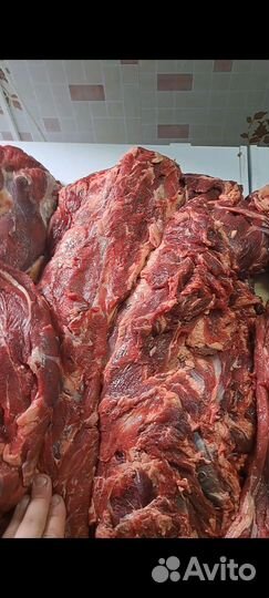 Мясо говядина