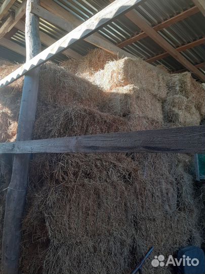 Сено,люцерно,суданка