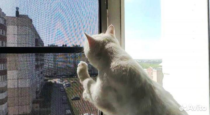 Сетка москитная