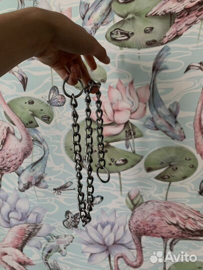 Амуниция для собак