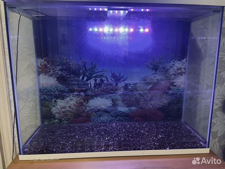 Аквариум