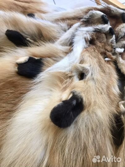 Лисья шкура